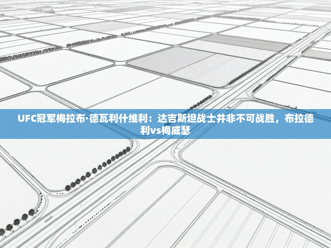 UFC冠军梅拉布·德瓦利什维利：达吉斯坦战士并非不可战胜，布拉德利vs梅威瑟  第1张